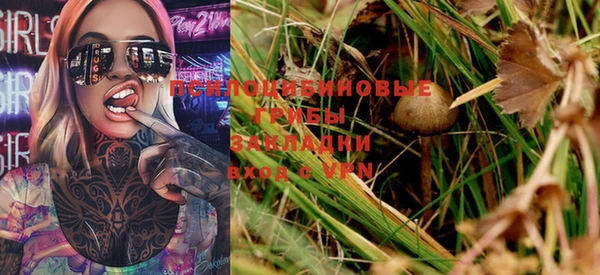 первитин Богородицк