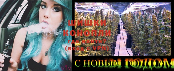 гашик Бронницы