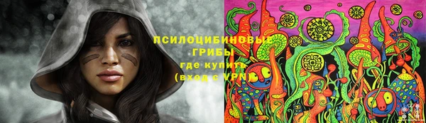 гашик Бронницы