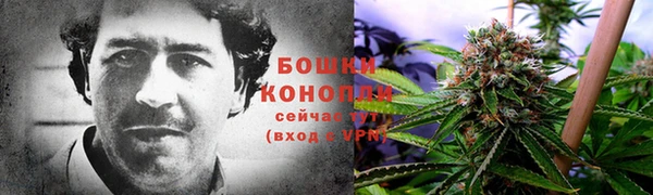 mdpv Богданович